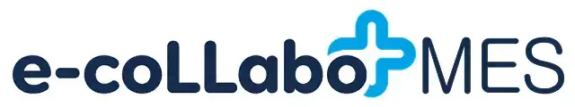 e-collabo MES